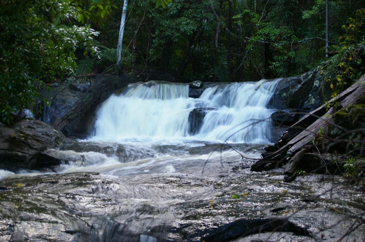 Bellthorpe Stays Maleny Buitenkant foto