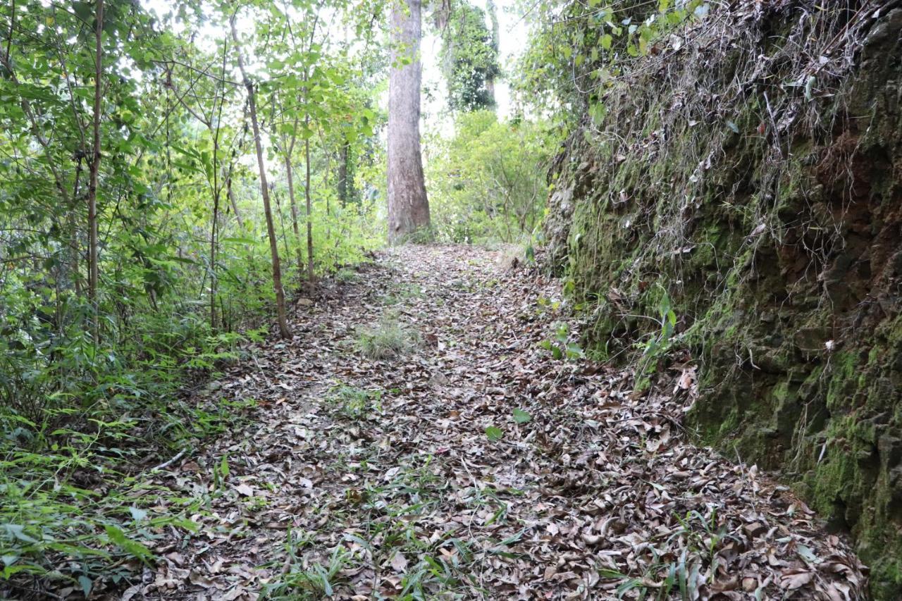Bellthorpe Stays Maleny Buitenkant foto