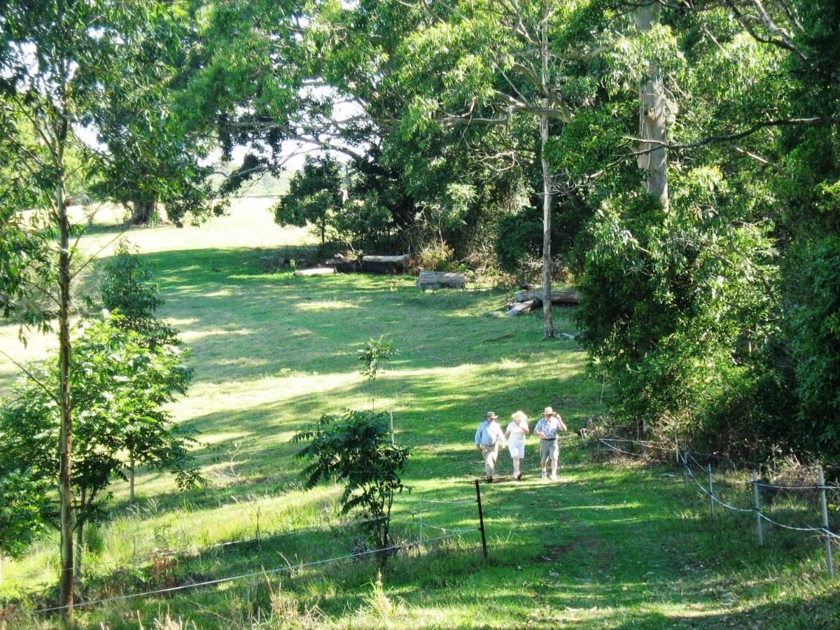 Bellthorpe Stays Maleny Buitenkant foto