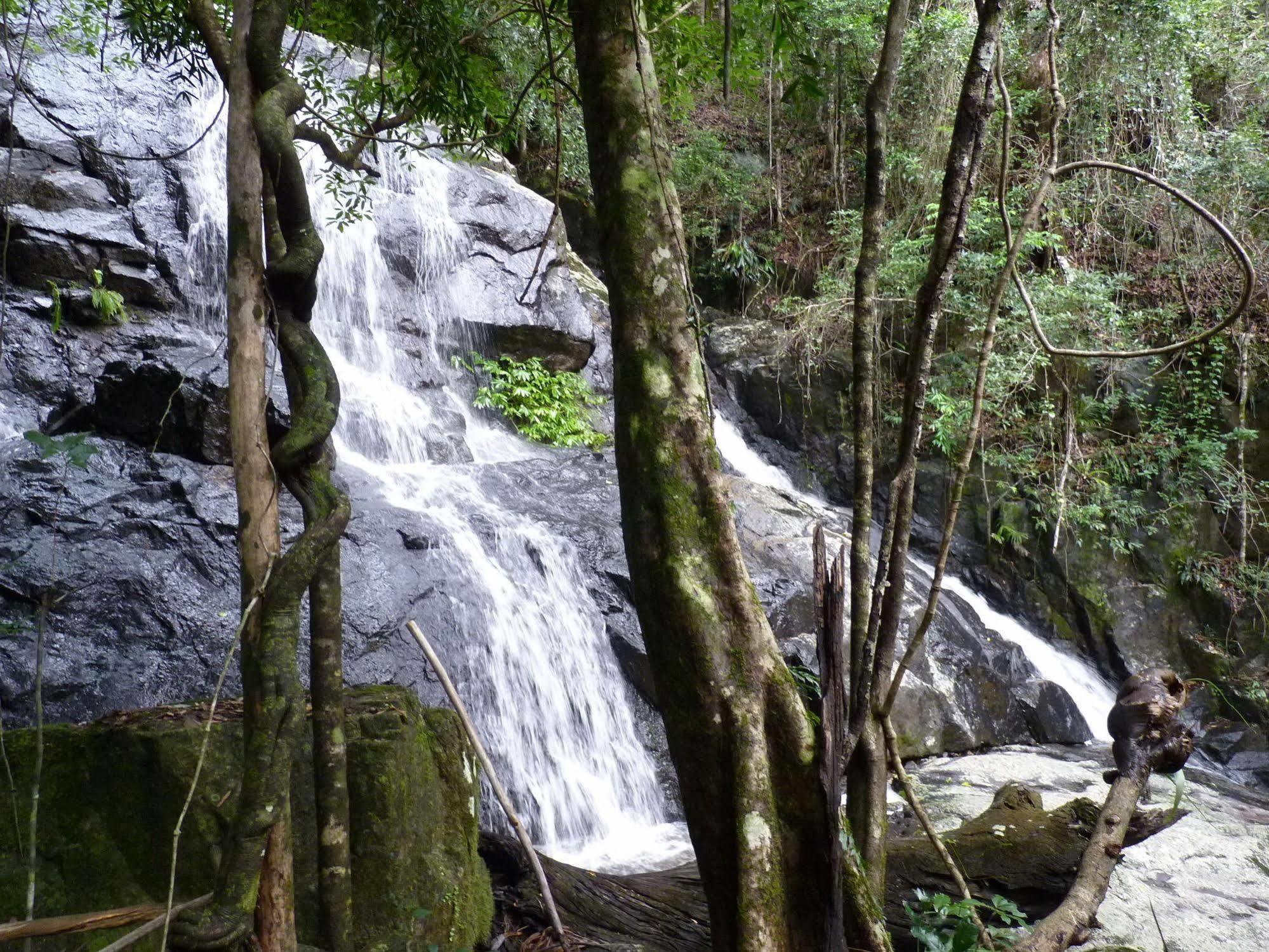 Bellthorpe Stays Maleny Buitenkant foto