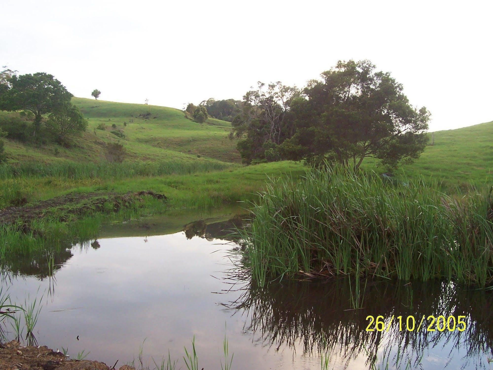 Bellthorpe Stays Maleny Buitenkant foto