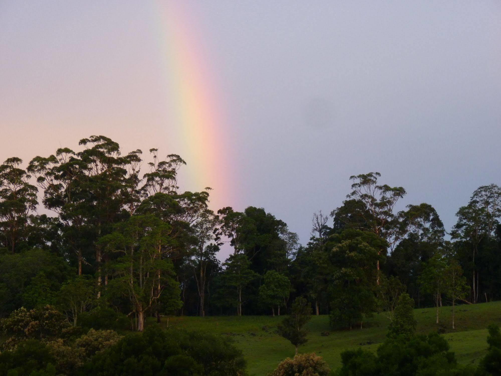 Bellthorpe Stays Maleny Buitenkant foto