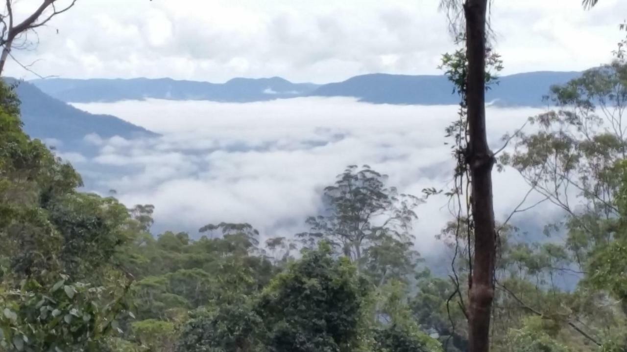 Bellthorpe Stays Maleny Buitenkant foto